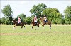 UKPA NC SAT_2315